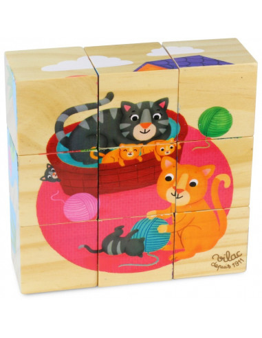Acheter 9 cubes en bois animaux Vilac