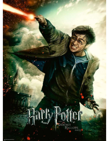 Puzzle Harry Potter 100p