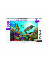 Puzzle Récifs Corallien - 500p
