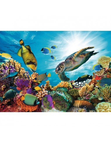 Puzzle Récifs Corallien - 500p