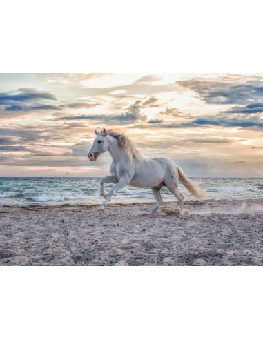 Puzzle Cheval sur la plage- 500p