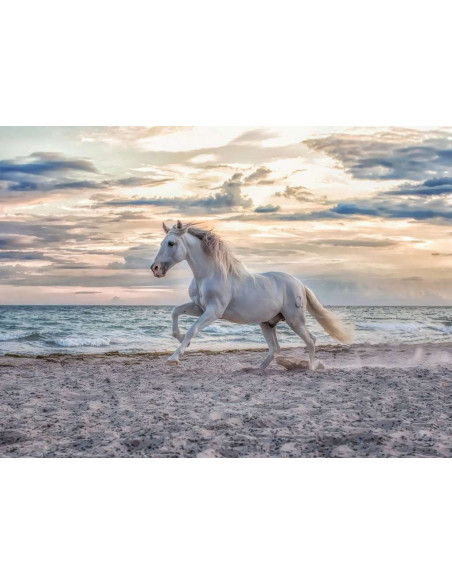 Puzzle Cheval sur la plage- 500p