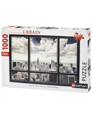 Vue sur New-York 1000p