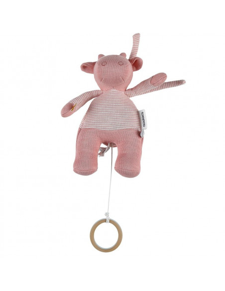 Lola mini-musicale rose