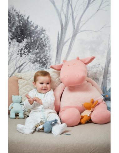 Peluche mini-musical coton bio Nouky mint