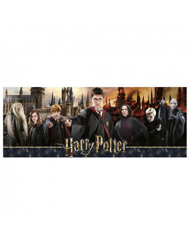 LA GUERRE DES SORCIERS-HARRY POTTER-1000P