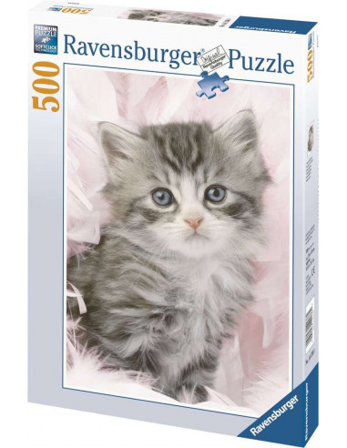DOUCEUR DE CHATON-500P