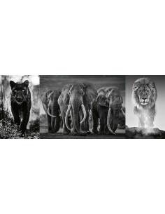 PANTHER ELEPHANT LION 2