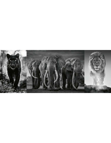PANTHER ELEPHANT LION