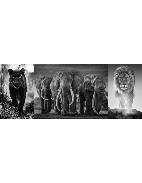 PANTHER ELEPHANT LION
