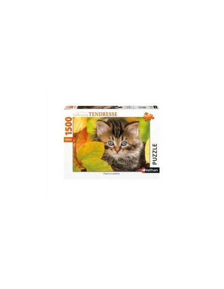 CHATON EN AUTOMNE