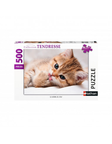 LA TOILETTE DU CHAT