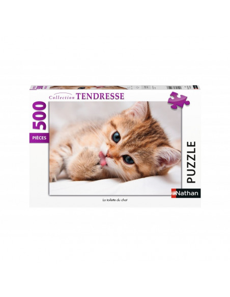 LA TOILETTE DU CHAT