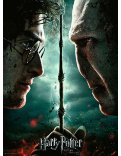 HARRY POTTER VOLDEMORT 2