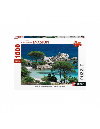 PLAGE DE PALOMBAGGIA