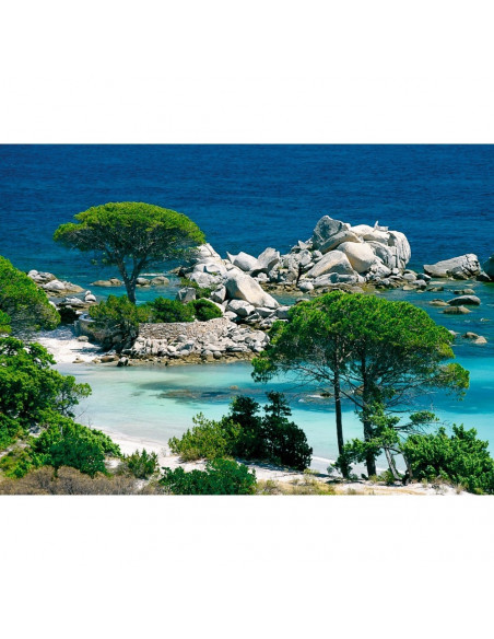 PLAGE DE PALOMBAGGIA