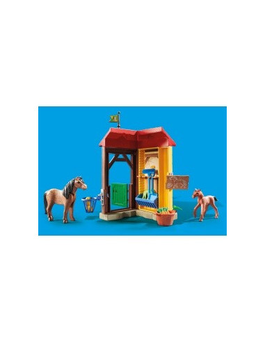 Starter pack box et poneys
