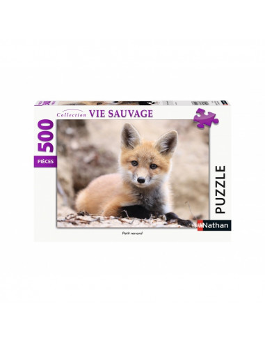 PETIT RENARD