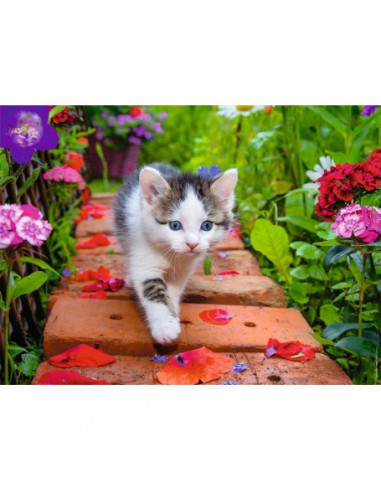 CHATON AU JARDIN 500 PIECES