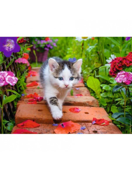 CHATON AU JARDIN 500 PIECES