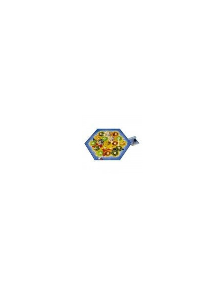 Catan extension ville et chevalier