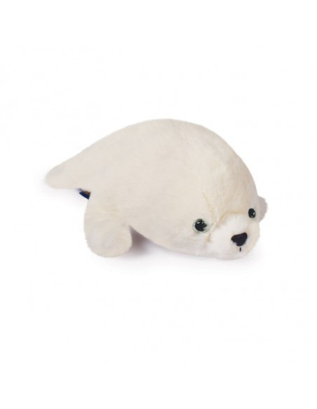 BEBE PHOQUE