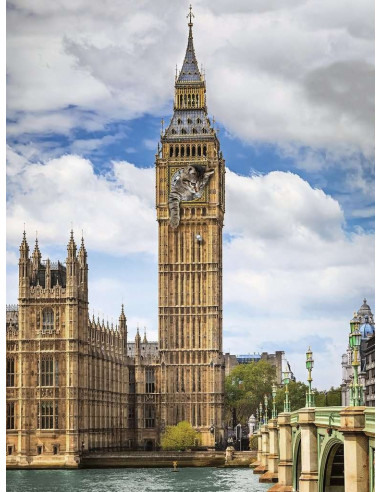 Drole de chat sur big ben