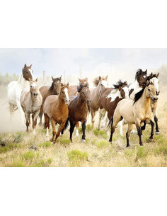CHEVAUCHEE DANS LE DESERT 1000PCS 2