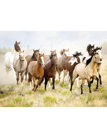 CHEVAUCHEE DANS LE DESERT 1000PCS