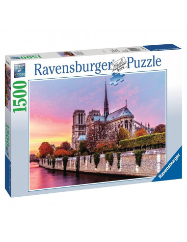 Pittoresque notre-dame 1500 pcs