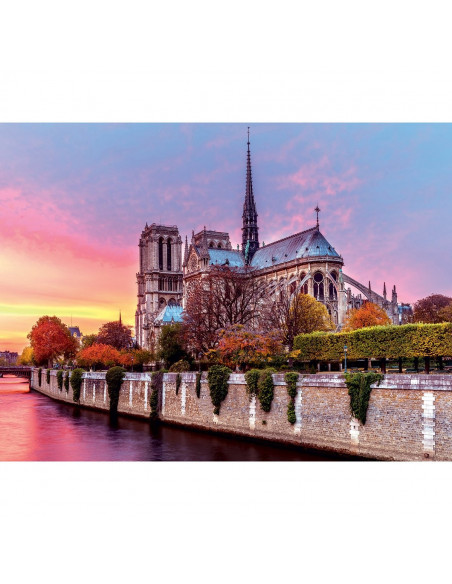Pittoresque notre-dame 1500 pcs