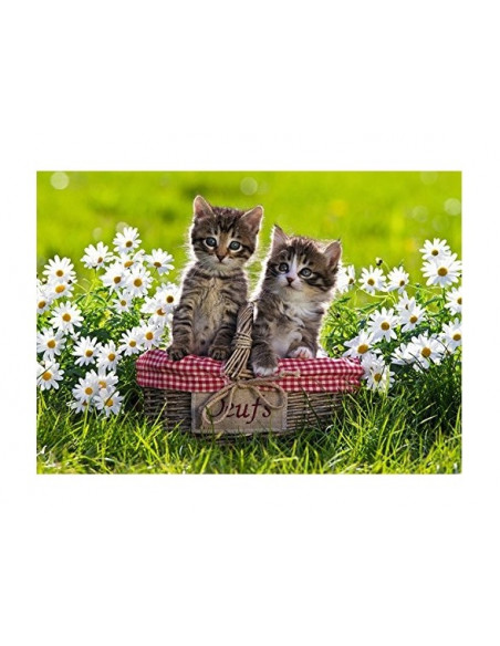 Pique-nique au pre 1000 pcs