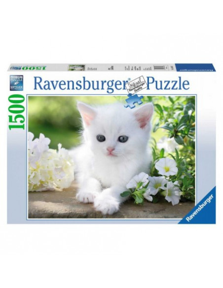 CHATON BLANC