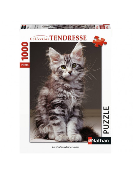 LE CHATON MAINE COON 1000PCS