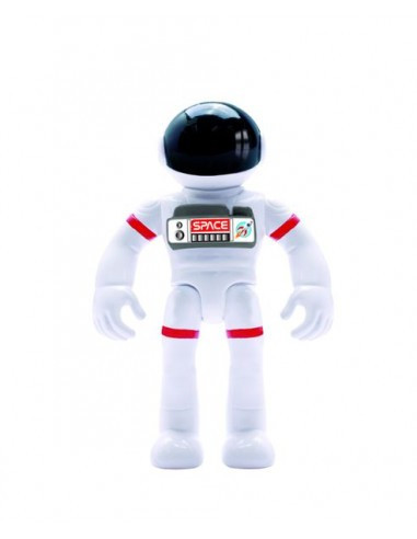 ROVER LUNAIRE
