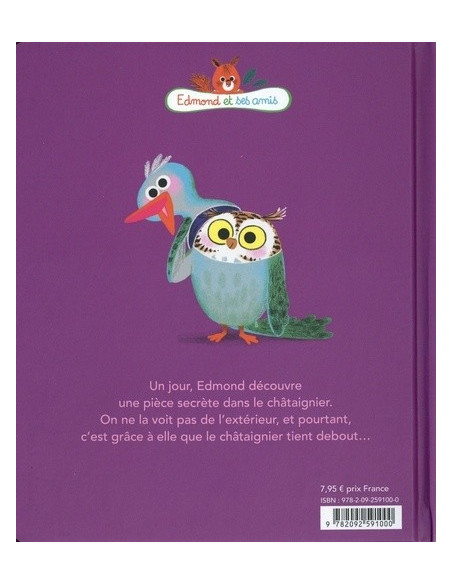 EDMOND ET SES AMIS - LA PIECE SECRETE