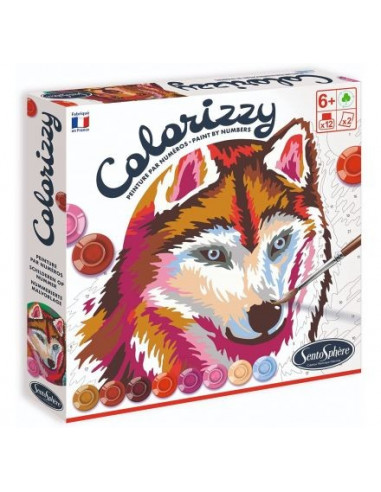 COLORIZZY-LES ANIMAUX DE LA FORET 