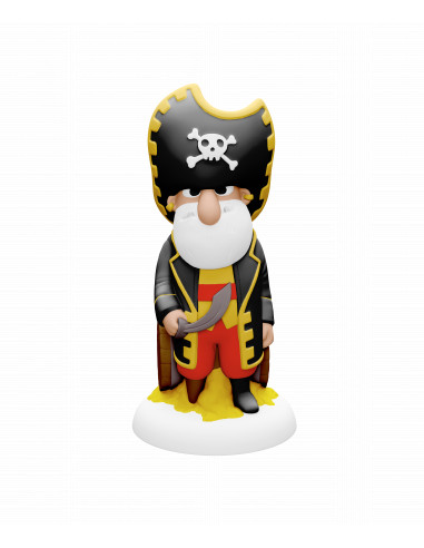 COFFRET PIRATES A BORD
