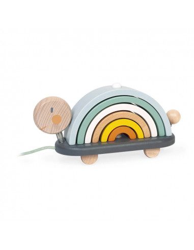 TORTUE ARC-EN-CIEL SWEET COCOON 