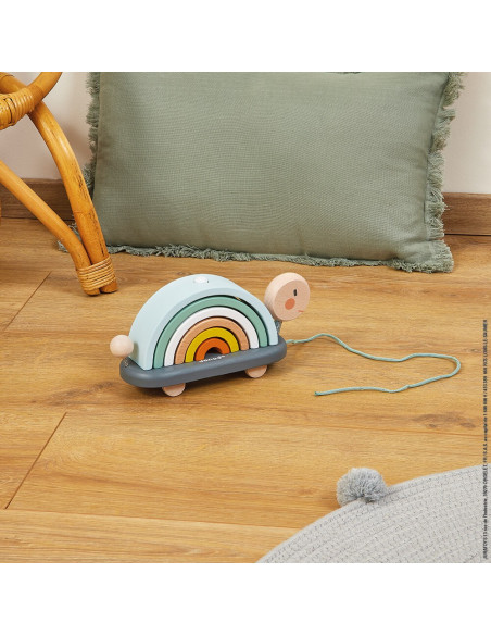 TORTUE ARC-EN-CIEL SWEET COCOON 