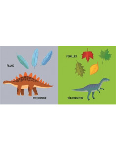 Q-box - les dinosaures 2