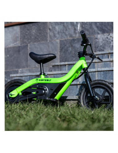 Kidybike vert