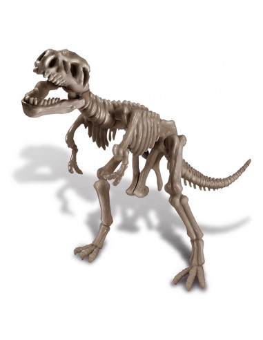 Tyrannosaurus rex deterre ton dinosaure