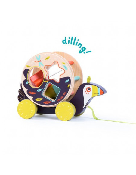 Toucan boite a formes a tirer dans la jungle