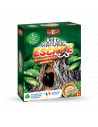 Défis Nature Escape - Exploration secrète