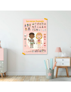 Poster en stikers - le corps humain - 4 ans et + 2