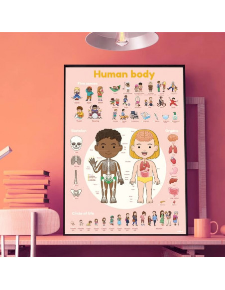 Poster en stikers - le corps humain - 4 ans et +