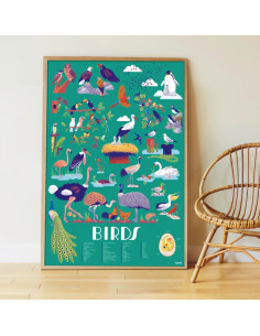 Poster pédagogique + 45 stickers - oiseaux 2