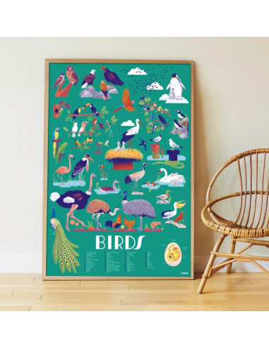 Poster pédagogique + 45 stickers - oiseaux