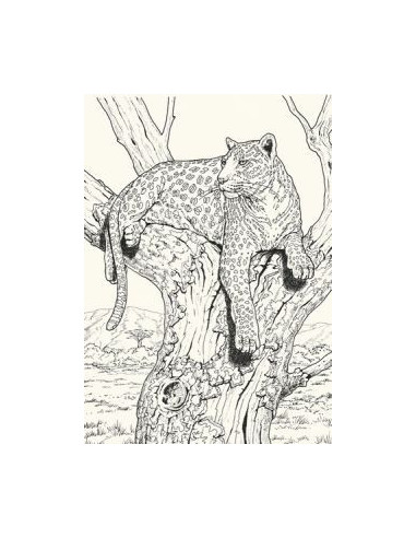 ART BOOK MONDE ANIMAL